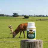 Pure Deer Antler Velvet (Standardised) 100 x 500mg